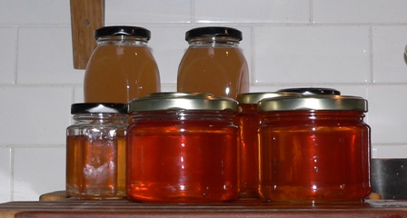 apple-jelly-and-slab-pizza-006