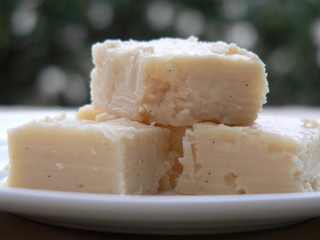 vfudge-010 vfudge-010