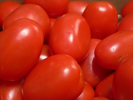 tomatoes 009