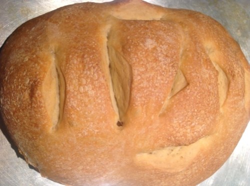 Liz's starter Penelope created a cracking first loaf!