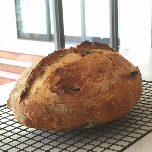 Dan's first sourdough loaf, made with her Johnny Cash starter.