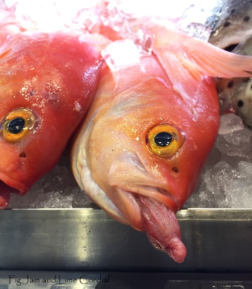 Vagya Fish Random Hilarity | Fig Jam and Lime Cordial